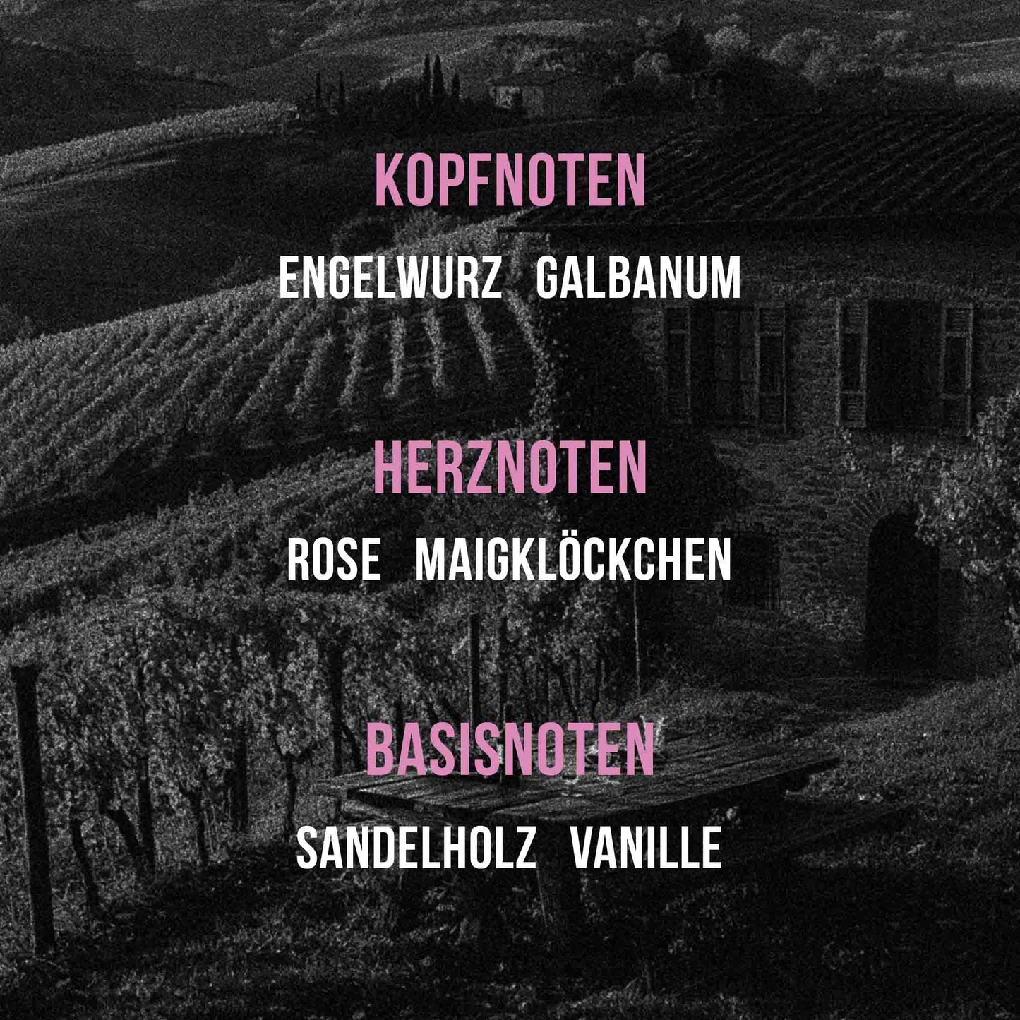 Onore L’Autunno Eau de Parfum – sinnlicher Damenduft mit sanfter, holziger Duftnote für gemütliche Herbsttage.