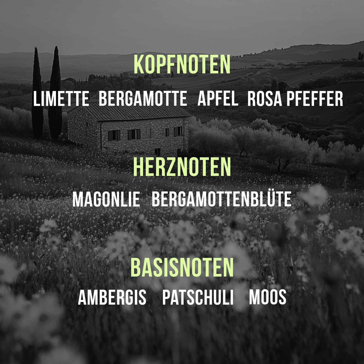 Onore La Primavera Parfum – Kopfnoten, Herznoten und Basisnoten.